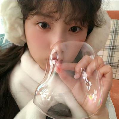 北极征熊记